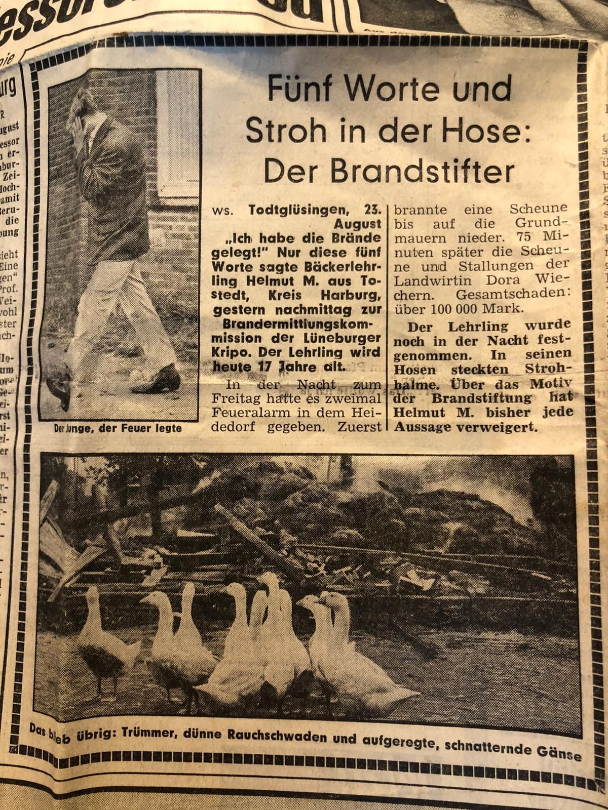 Artikel in der Bild Zeitung Artikel in der Bild Zeitung