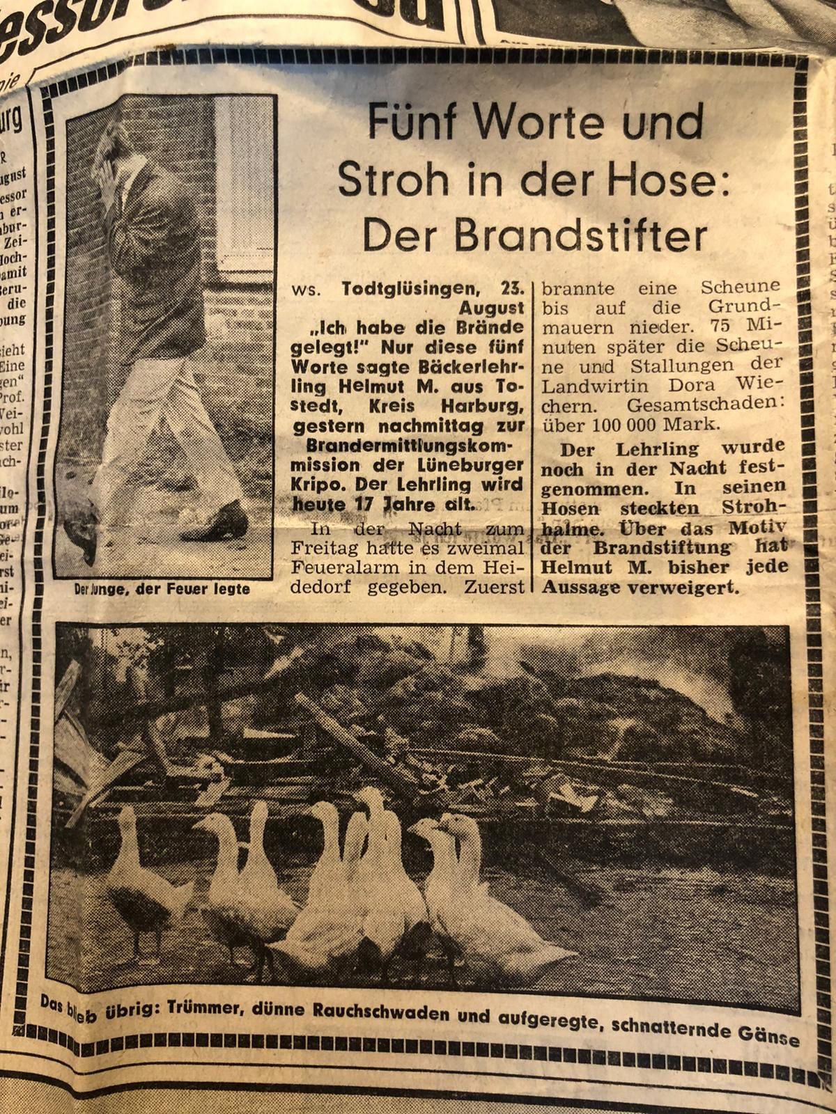 Artikel in der Bild Zeitung